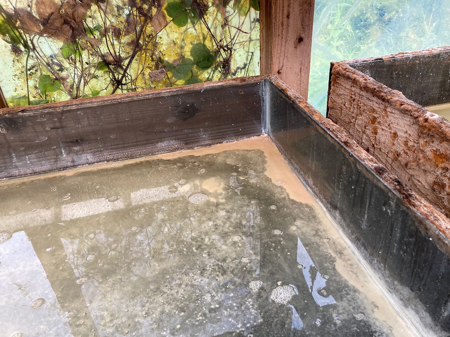 続ろーかる・ぐるぐる#203_塩