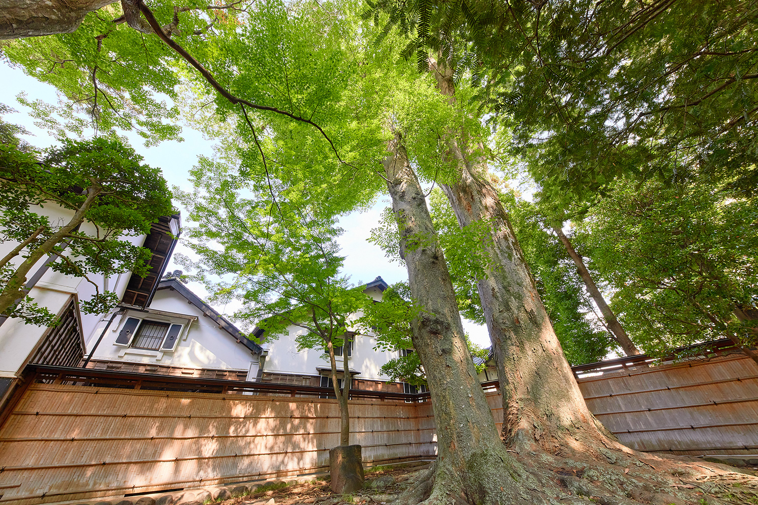 田村酒造場