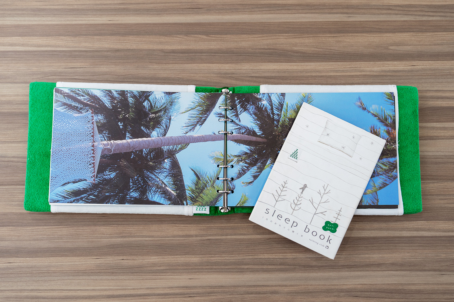 ねれないス_書籍画像